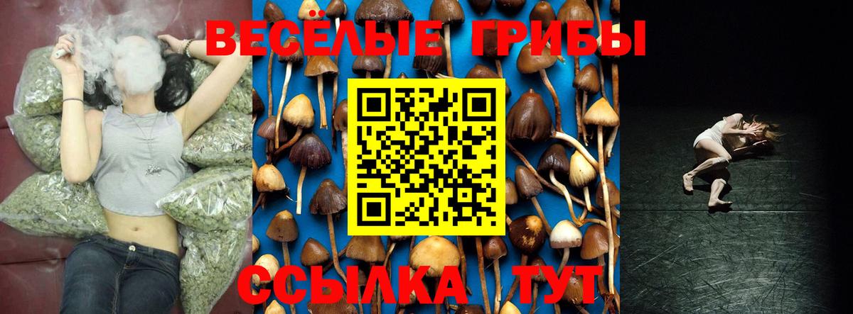 Псилоцибиновые грибы мицелий Дятьково